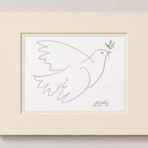 Colombe Bleue