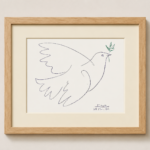 Colombe Bleue